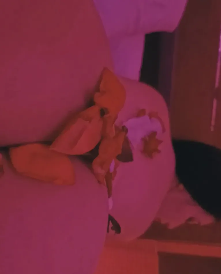 Nicole, 30 anni